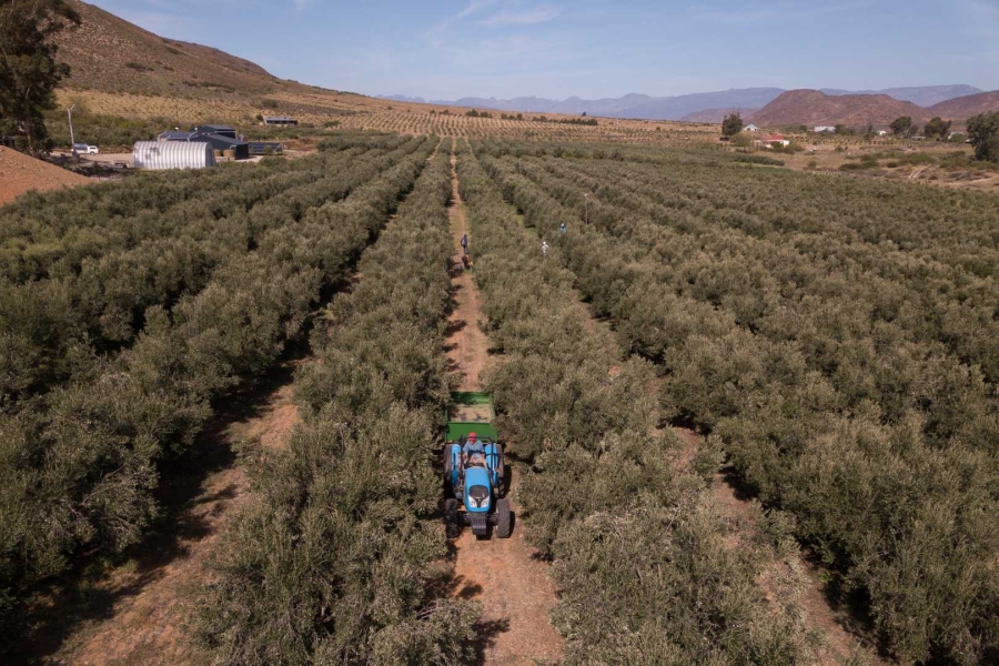 7 Bedroom Property for Sale in Robertson Western Cape